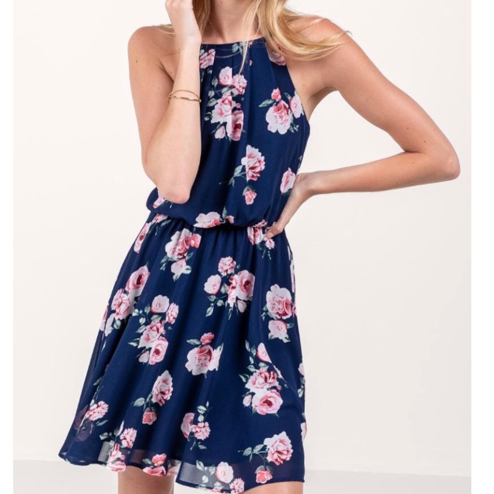 NWOT Francesca’s Spring Dress